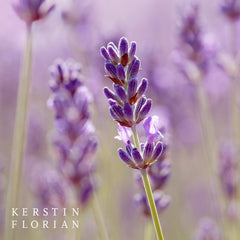 Kerstin Florian Clarifying Lavender Oil on hand illustrating versatile hydration for dry areas.