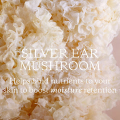 KORA Organics Milky Mushroom Oil Cleanser ingredients sunflower oil close-up.