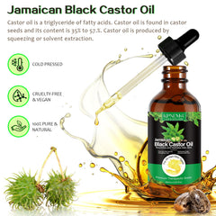 KPNEMA castor oil on scalp for deep nourishment and shine.