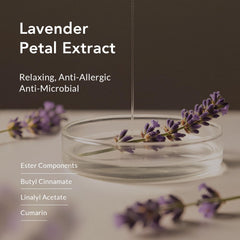 Kustie Lavender Petal Body Wash pump bottle highlights real petals and premium fragrance.