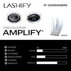 Lashify Amplify 14mm Ombre Blue Gossamer close-up; premium silk feel.
