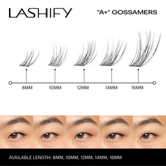 Lashify Amplify Plus base-layer lashes shown for base layering
