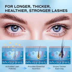 LashRay Renewing Eyelash Serum packaging on display in a premium setting