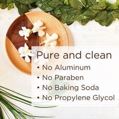 Lavanila aluminum-free packaging communicates a clean, vegan formula.