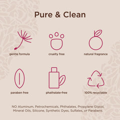 Lavanila healthy fragrances packaging highlighting clean ingredients and design