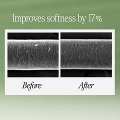 LONGTAKE Sandalwood Shampoo ingredients close-up showing camellia oil and ceramide for hair nourishment