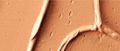 MAC Pro NC45 texture close-up highlights creamy blendable finish
