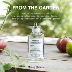 Geranium bloom scene evokes soft floral warmth compatible with outdoor moments.