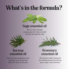 Maple Holistics Sage & Rosemary Shampoo foam closeup indicating gentle cleansing experience.