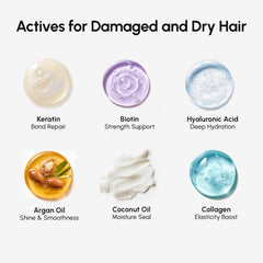 MAREE formula featuring biotin and collagen peptides for hair strength