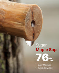 Maple sap ingredient close-up highlighting nutrient-rich hydration