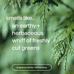 Method Men Juniper + Sage foam demonstrates rich lather for easy washing.