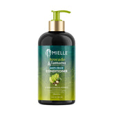 Mielle Organics Avocado and Tamanu Conditioner bottle demonstrates detangling benefits.