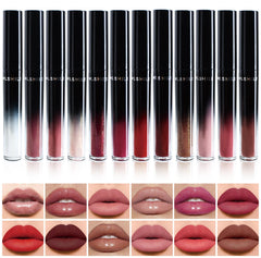 MLSMILE 12pcs lip gloss set packaging, versatile shades for daily looks and gifting.