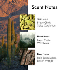 Modern Memory Western Santal cardamom spice accent on first spray for a fresh inviting vibe.
