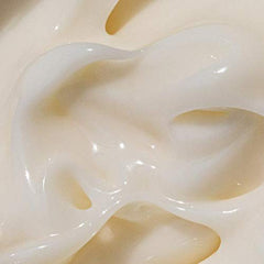 Moon Juice Cosmic Cream mushroom illustration emphasizes Reishi and Silver Ear hydration.