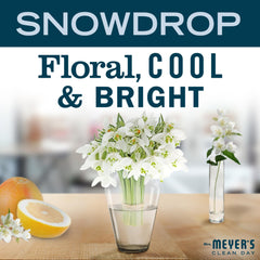 Illustration of Snowdrop fragrance notes for a fresh winter mood.