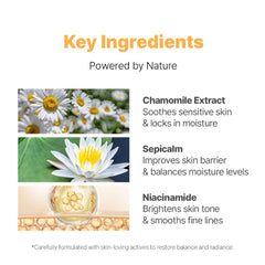 NACIFIC Fresh Herb Origin cream close-up highlights silky finish.
