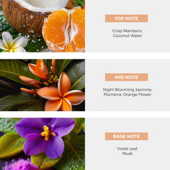 Nateeva Night Blooming Jasmine EDP bottle close-up, premium craftsmanship.