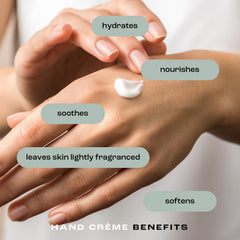 Natural Inspirations Agave Pear ExSeed antioxidant oil blend close-up.