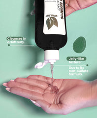 Natural Sant Rosemary & Cinchona shampoo foam close-up suggests gentle lather.