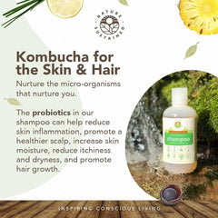 Nature Sustained Original shampoo soapberry-extract close-up shows natural cleansing.