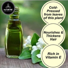 Naturevibe Botanicals Bhringraj Oil is cold pressed for pure hair care benefits.
