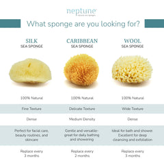 Neptune Caribbean Sea Sponge offers a soft delicate texture gentle on skin
