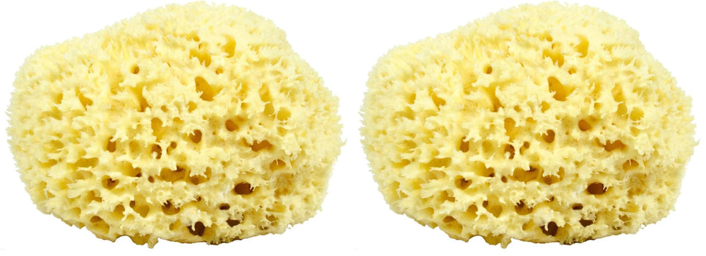 Neptune Natural Sea Wool Sponge with hand-cut honeycomb texture for gentle exfoliation