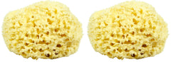 Neptune Natural Sea Wool Sponge with hand-cut honeycomb texture for gentle exfoliation