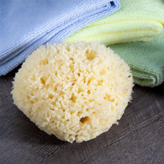 Neptune Natural Sea Wool Sponge, jumbo size, ideal for larger cleansing areas