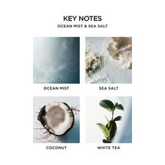 NEST New York Ocean Mist soap texture shows nourishing lather.