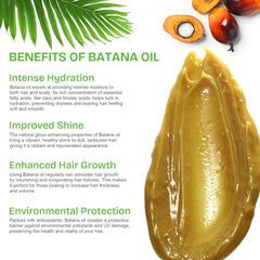 NIFEISHI Batana Oil ingredients label detail from Honduras-sourced oil.