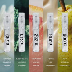 Noteworthy Fragrance Sampler citrus accents highlighting fresh mood boosters.