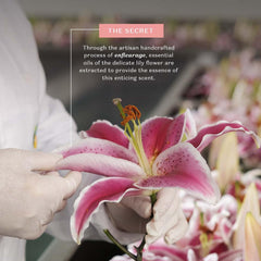 Close-up of Lily Body Oil texture reveals a silky, non-greasy finish.