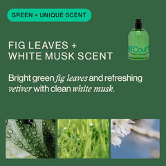 OffCourt closeup bottle of fig leaves capturing fresh green notes and subtle musk.