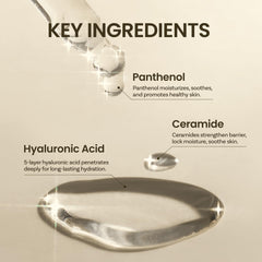 ONGREDIENTS Skin Barrier Calming Softener skin-closeup shows calm, radiant pores.