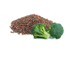 OPO broccoli seed oil texture on skin shows deep hydration and a soft finish.