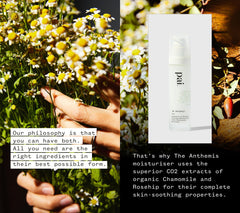 PAI SKINCARE The Anthemis rosehip berries indicating nourishing hydration
