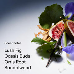 PHLUR Father Figure iris-jasmine heart notes evoke elegant daytime allure.