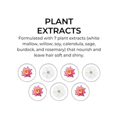 PHYTO 7 seven plant extracts illustration highlights natural nourishment for dry hair