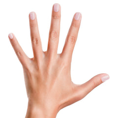 Thin coats of basecoat and sealer for even coverage.