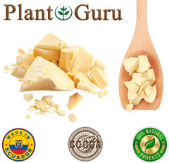 Plant Guru raw cocoa butter solid, ideal for melting into soaps and body butter.