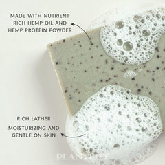 Plantlife hemp oil close-up illustrating organic oils for balanced skin care.