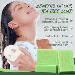 POP MODERN.C tea tree soap bar with mesh bag for easy travel cleansing.