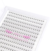 PRO LASHBEAUTY premade fans 12D-D-0.07-11mm provide precise volume for dramatic lashes.
