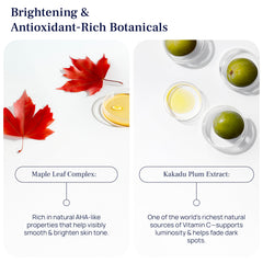 Kakadu Plum ingredients in Even Glow formula.