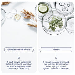 Pureance Hydralift wheat protein close-up on bottle