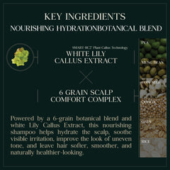 PUREBBLE ingredients grains close-up highlighting nourishing grains