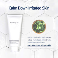 Pyunkang Yul Cleansing Foam with coconut scent for refreshing cleanse